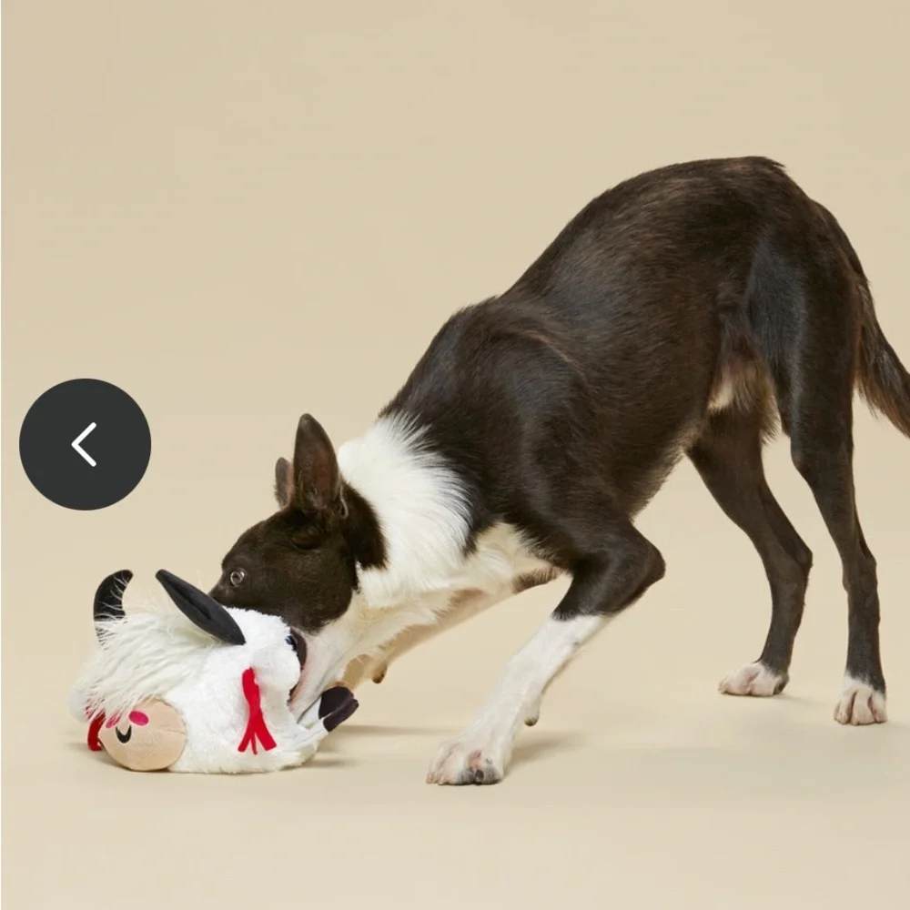 Bark Box XL Giant dog toy Yeshe the Yak